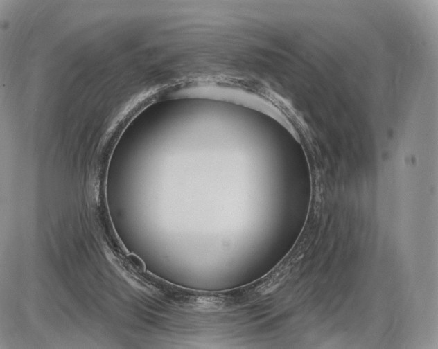 X0000085000060200703191100