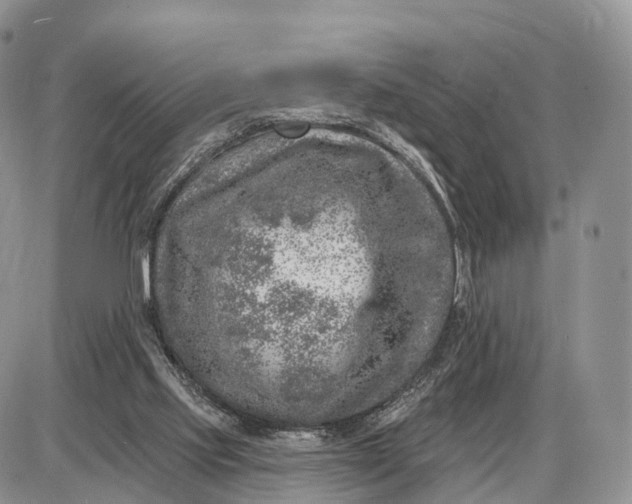 X0000085000061200703191100