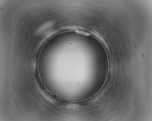 X0000085000063200703191100