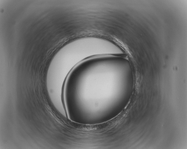 X0000085000065200703191100