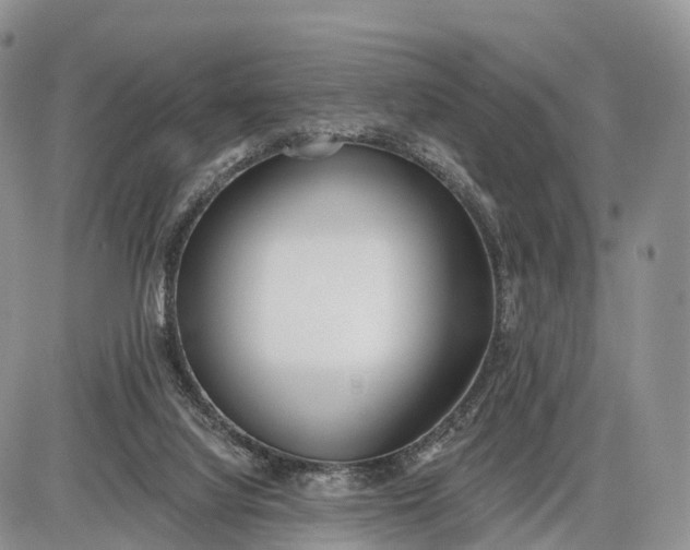 X0000085000068200703191100