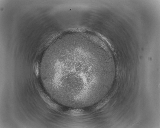 X0000085000069200703191100