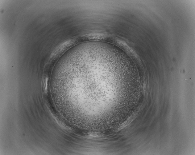 X0000085000070200703191100