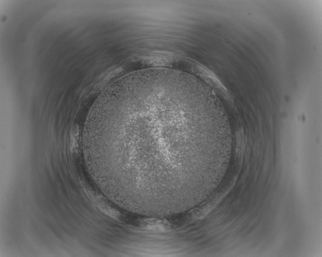 X0000085000073200703191100