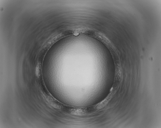 X0000085000074200703191100