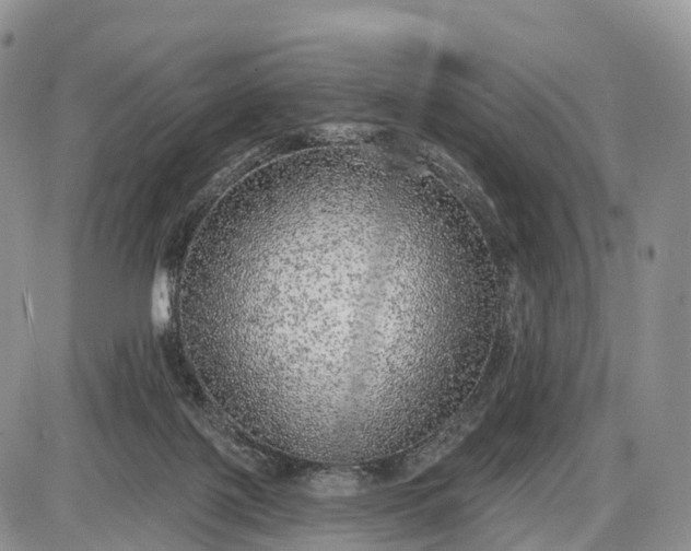 X0000085000075200703191100