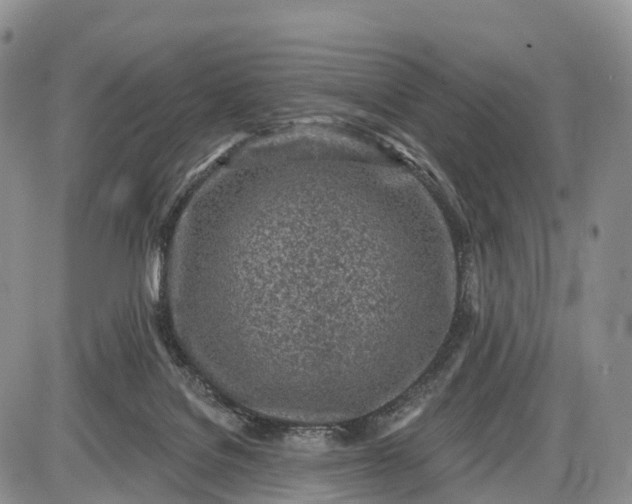 X0000085000076200703191101