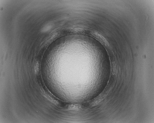 X0000085000077200703191101