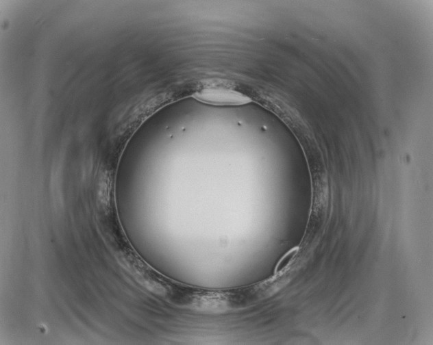 X0000085000078200703191101