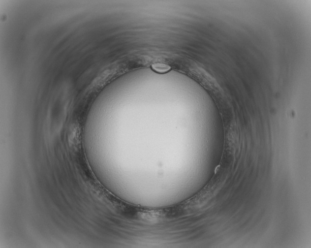 X0000085000079200703191101