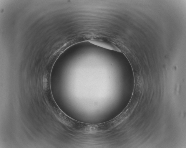 X0000085000080200703191101