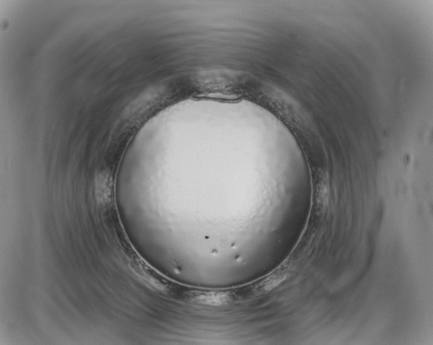 X0000085000081200703191101