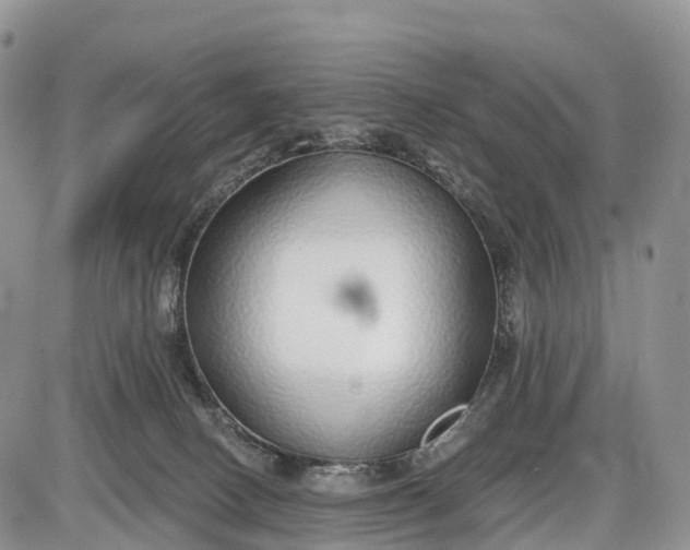 X0000085000082200703191101