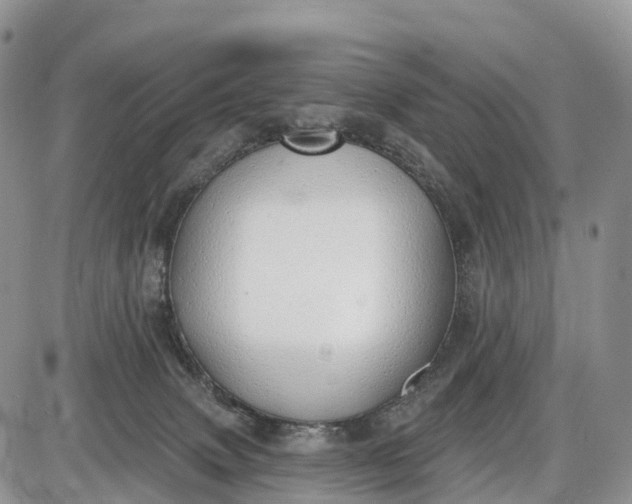 X0000085000083200703191101