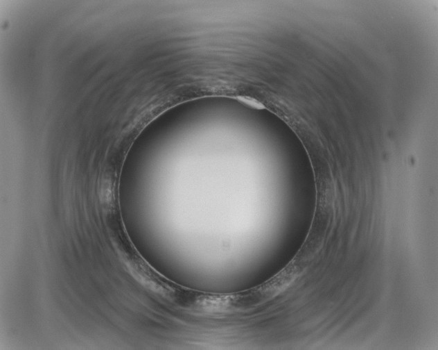 X0000085000084200703191101