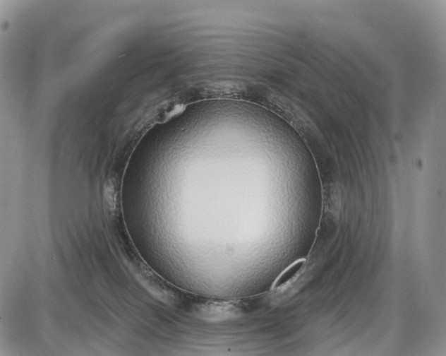 X0000085000086200703191101