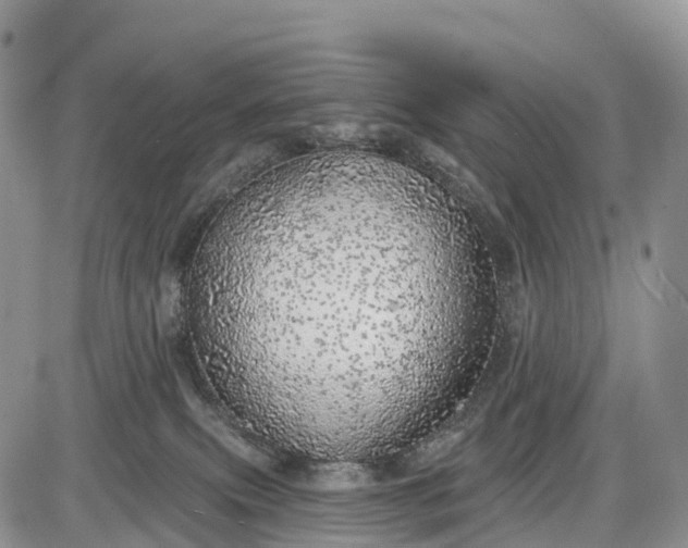 X0000085000087200703191101