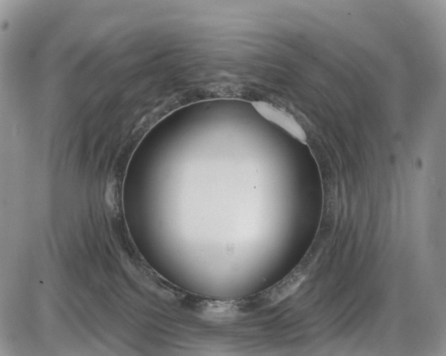 X0000085000088200703191101