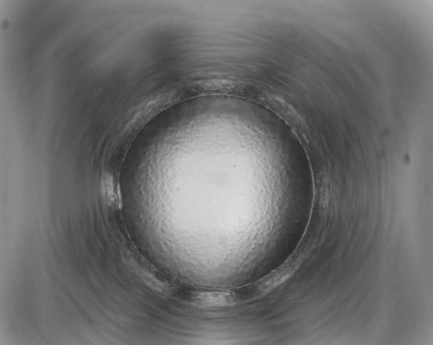 X0000085000089200703191101