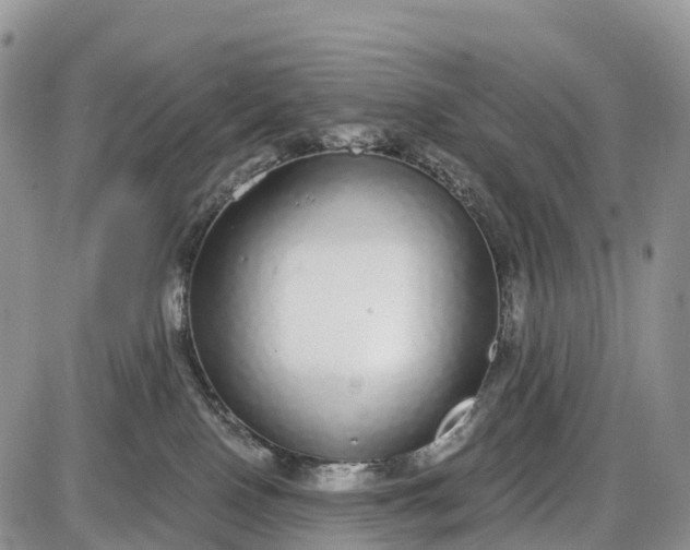 X0000085000090200703191101