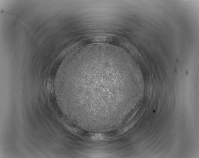 X0000085000091200703191101