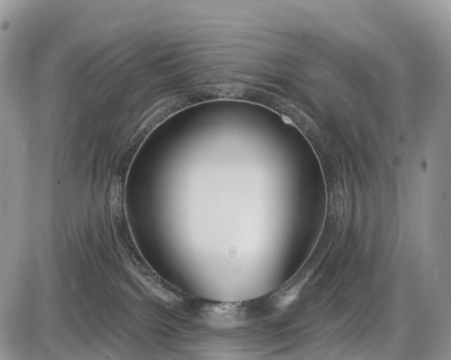 X0000085000092200703191101