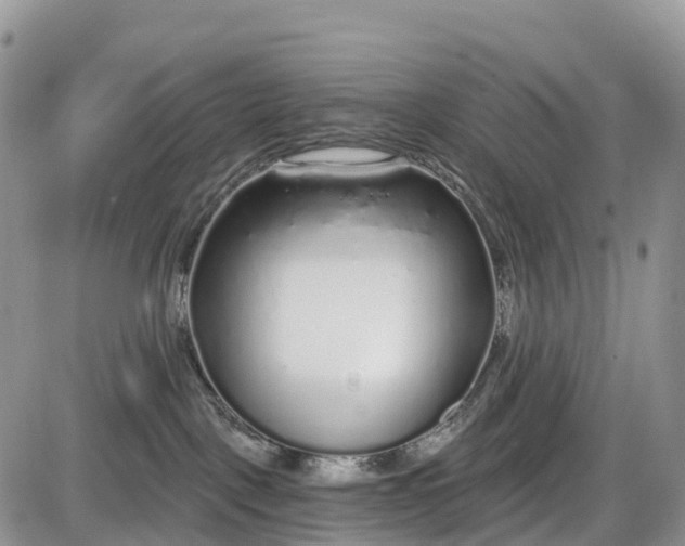 X0000085000093200703191101