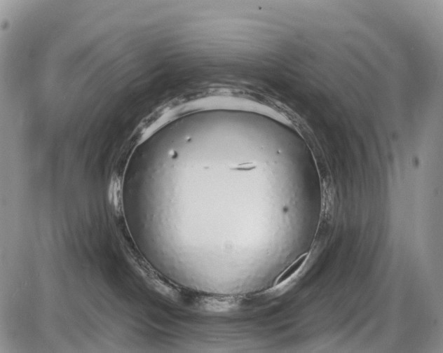 X0000085000094200703191101