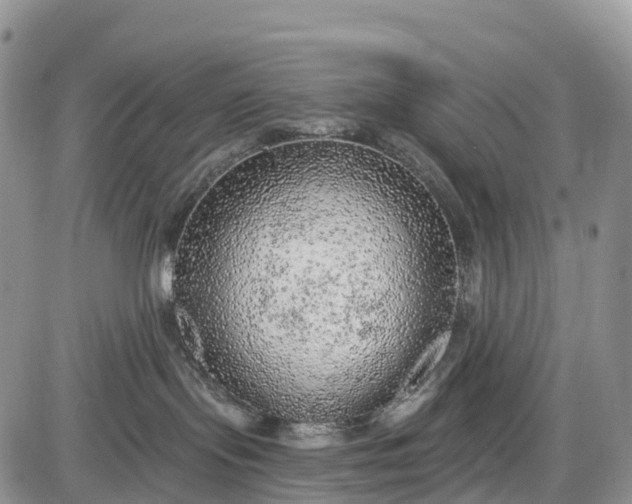 X0000085000095200703191101