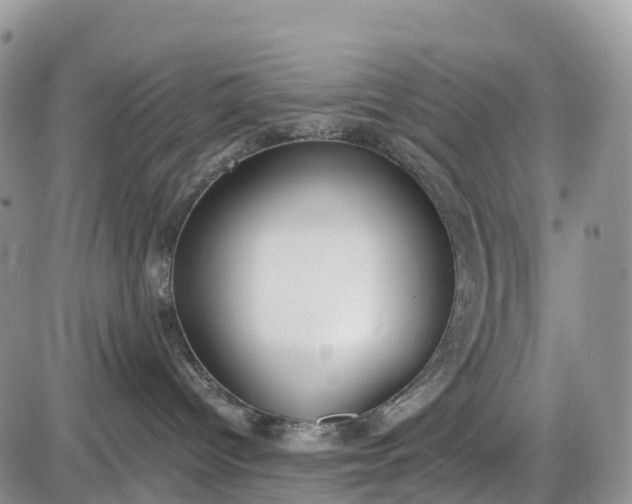 X0000085000096200703191101