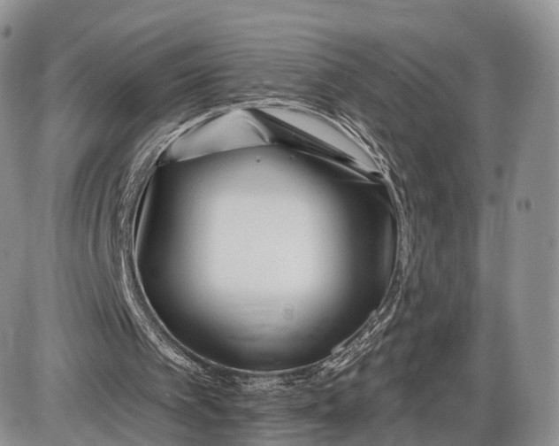 X0000085000097200703191100