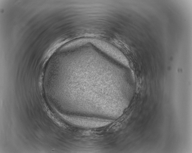 X0000085000098200703191100