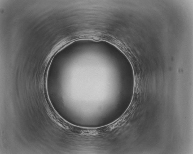 X0000085000099200703191100