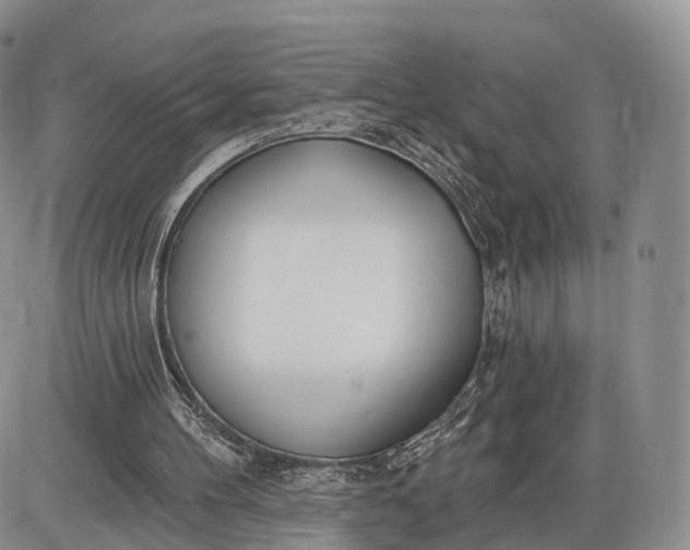 X0000085000100200703191100