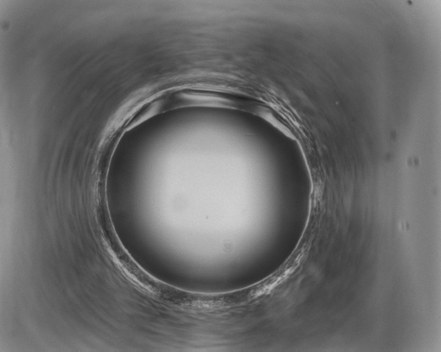 X0000085000101200703191100