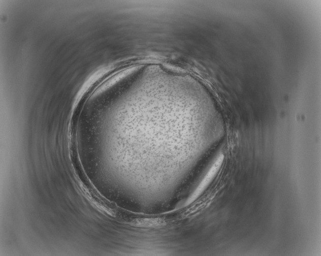 X0000085000102200703191100