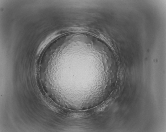 X0000085000103200703191100