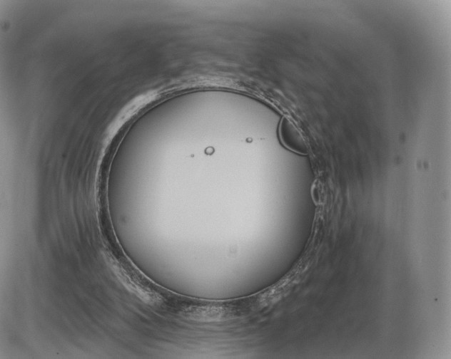 X0000085000104200703191100