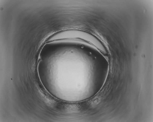 X0000085000107200703191100