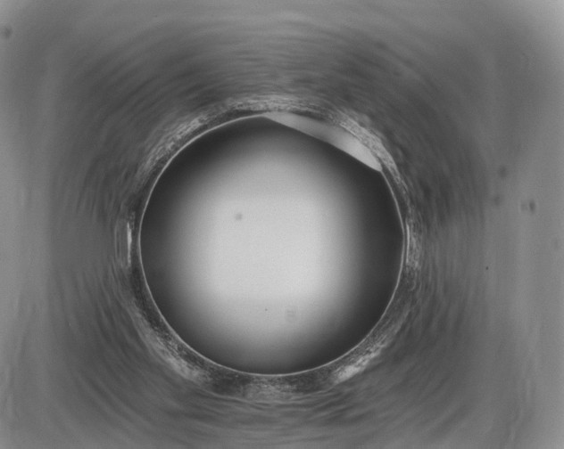 X0000085000109200703191100