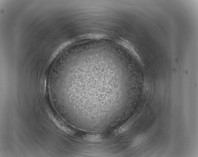 X0000085000110200703191100