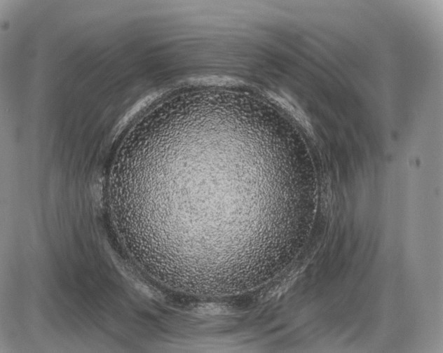 X0000085000111200703191100