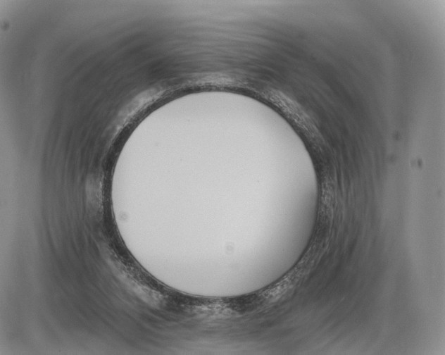 X0000085000112200703191100