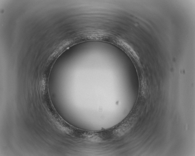 X0000085000113200703191100