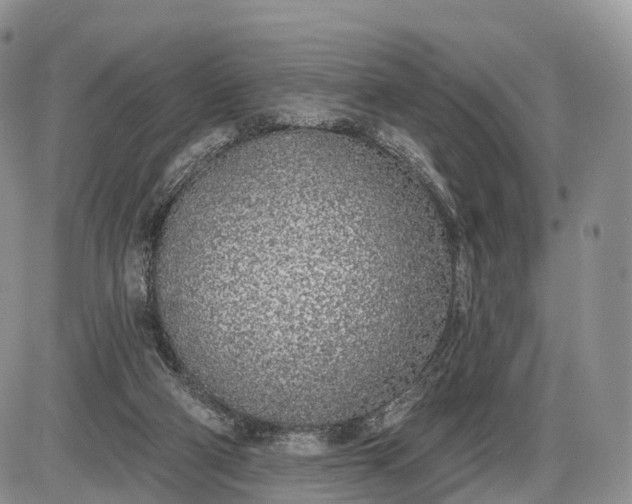 X0000085000114200703191100