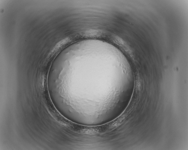 X0000085000115200703191100