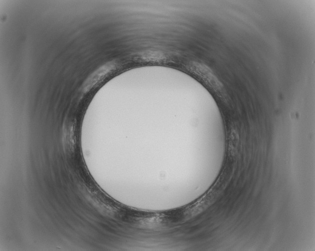 X0000085000116200703191100