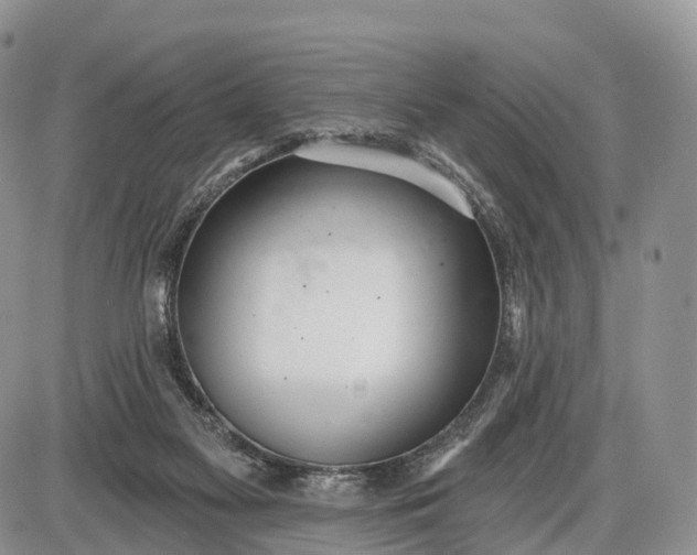 X0000085000117200703191100