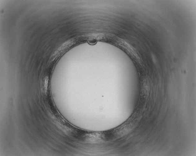 X0000085000118200703191100