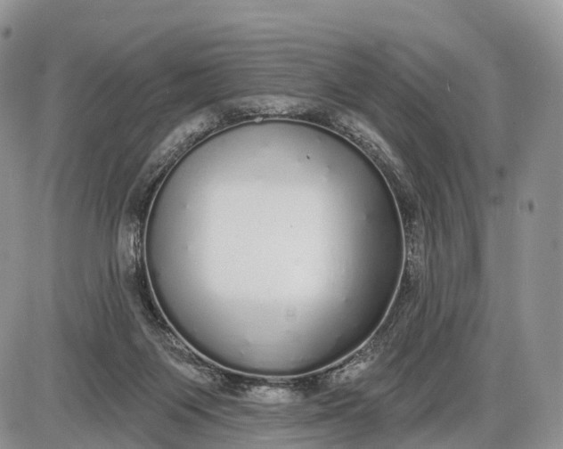 X0000085000119200703191100